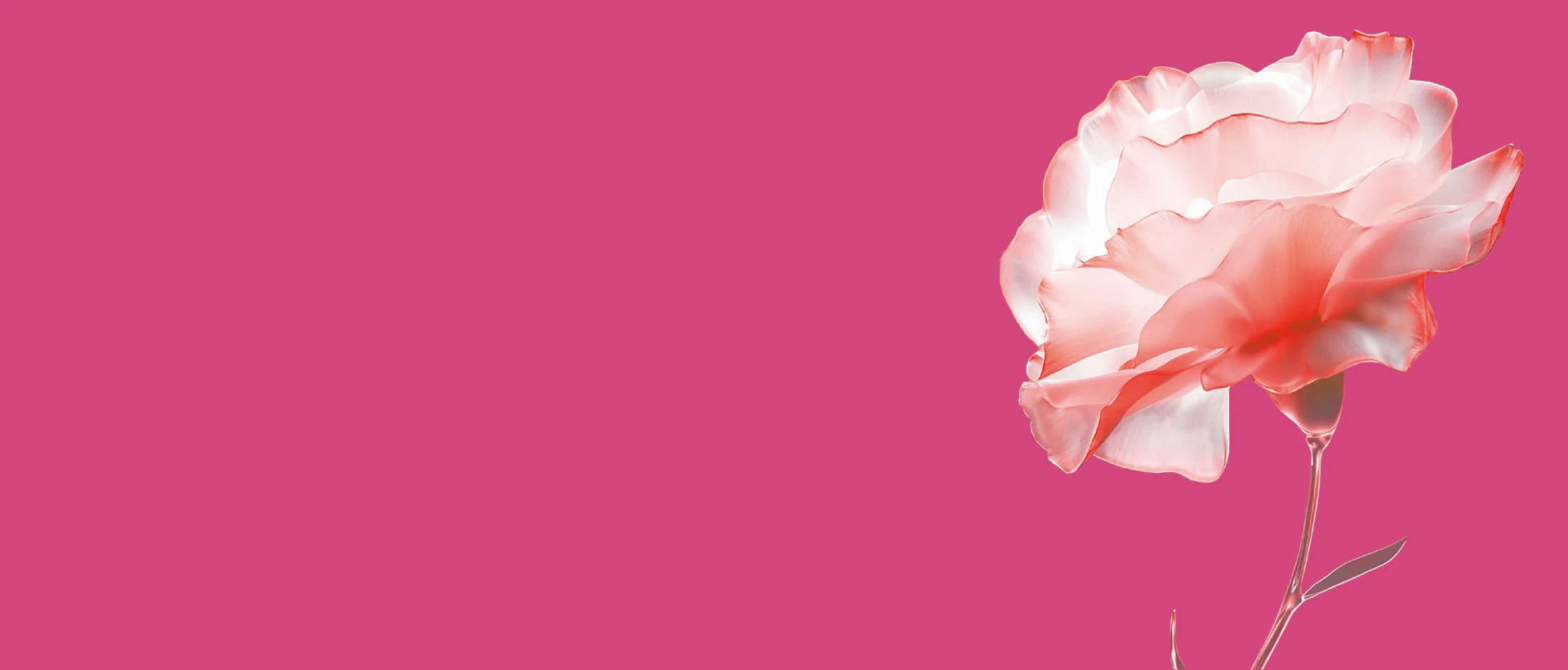 私龄自销系列产品